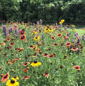 Meet your Posher, Kimberly goerig